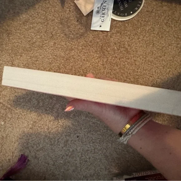 The game changer by Lana Ferguson - Picture 2 of 3